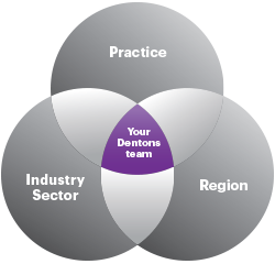 Your Dentons Team